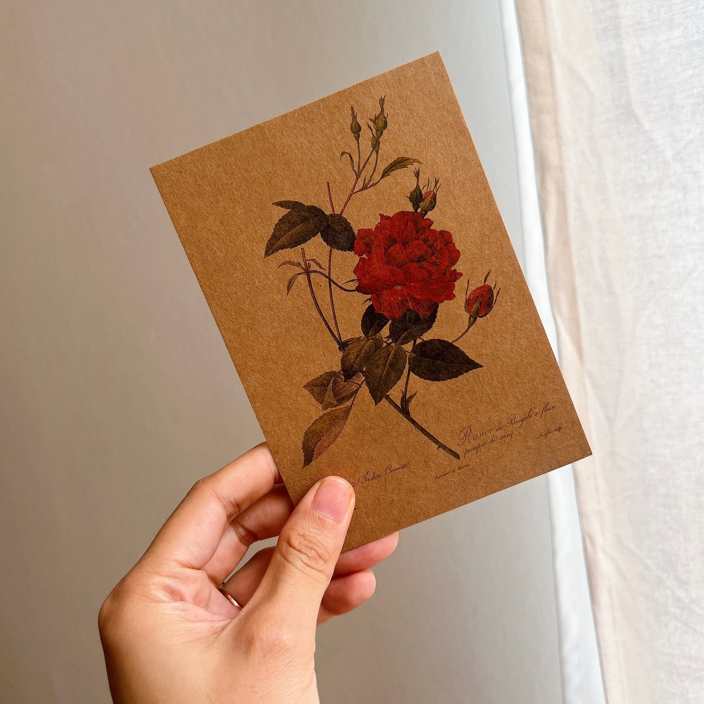 Where Things Bloom Journal Kit